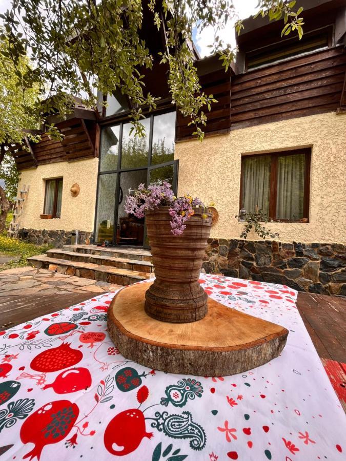 Ioska'S House Otel Mestia Dış mekan fotoğraf